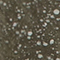 OLIV