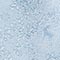 GRAU/ HELLBLAU