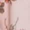 ROSÉ/ ORANGE/ DUNKELGRÜN