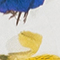 WEISS/ BLAU/ DUNKELGELB
