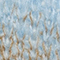 HELLBLAU/ CAMEL