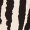 CREME/ SCHWARZ