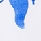 WEISS/ BLAU