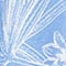 HELLBLAU/ WEISS