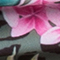 GRÜN/ ROSA/ GELB