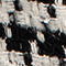 SCHWARZ/ WEISS