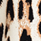 SCHWARZ/ BRAUN/ CREME