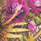 CREME/ GOLD/ LILA