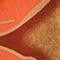 CAMEL/ ORANGE
