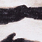 SCHWARZ/ BEIGE/ WEISS
