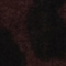 SCHWARZ/ BRAUN