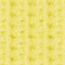 411 LEMONADE