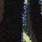 598 deep forest