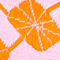 ORANGE/ ROSA