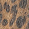BRAUN/ SCHWARZ