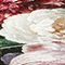 ROT/ ROSA/ WEISS