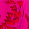 PINK/ ROT