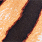 HELLORANGE/ SCHWARZ