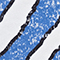 WEISS/ BLAU