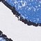 WEISS/ BLAU