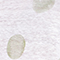 ECRU/ OLIV/ SCHWARZ