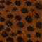 BRAUN/ SCHWARZ