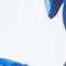 BLAU/ WEISS