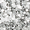 SILBER/ SCHWARZ
