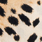 BEIGE/ HELLBRAUN/ SCHWARZ