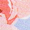 HELLBLAU/ ROSA/ GRÜN