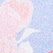 HELLBLAU/ ROSA/ GRÜN