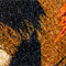 BRAUN/ SCHWARZ