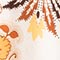 CREME/ HELLBRAUN/ HELLORANGE