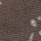 BRAUN
