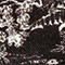 SCHWARZ/ WEISS