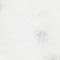 WEISS/ GRAU