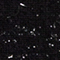 SCHWARZ/ SILBER