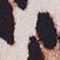 CREME/ BEIGE/ SCHWARZ