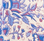 BLAU/ WEISS/ ROT