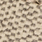 BEIGE EBONY COCOA