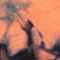 ORANGE/ SCHWARZ
