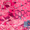 PINK/ FUCHSIA