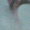 BLAUGRAU