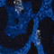 BLAU/ SCHWARZ/ SILBER