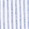 BLAU/ WEISS GESTREIFT