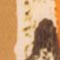 ORANGE/ GELB
