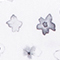 WEISS/ GRAU