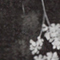 SCHWARZ/ WEISS