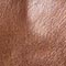 BRAUN