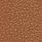 BRAUN